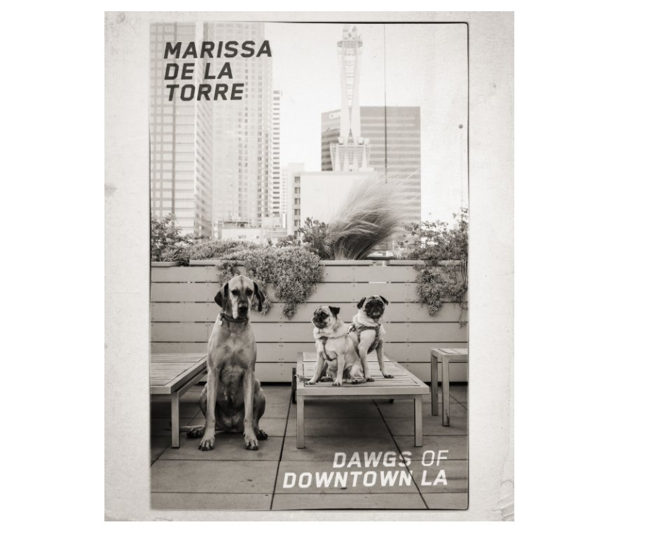View dawgs of downtown la by Marissa de la Torre