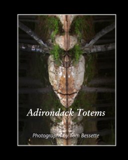 Adirondack Totems book cover