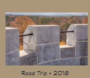 Road Trip • 2016 book cover