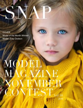 Snap Model Magazine November Contest 2016 book cover