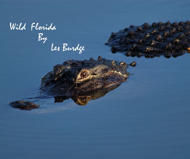 Wild Florida nach By Les Burdge anzeigen