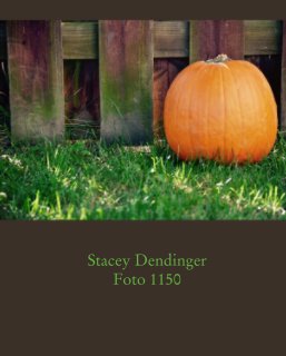 Stacey Dendinger Foto 1150 book cover