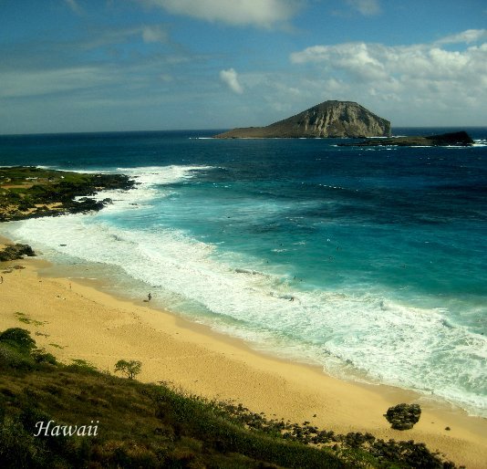 View Hawaii by Karen Rosenfeld
