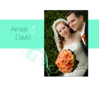 Aimee and David book cover