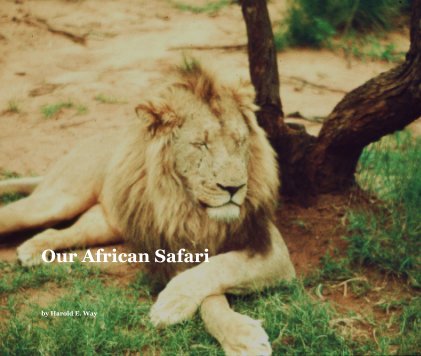 Our African Safari book cover