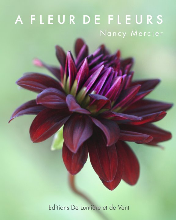 Visualizza A Fleur de Fleurs di Nancy MERCIER