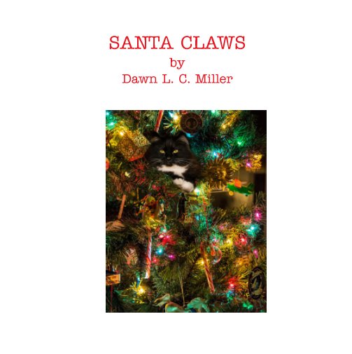 View Santa Claws by Dawn L. C. Miller