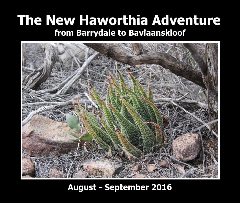 Bekijk The New Haworthia Adventure 2016 op Jakub Jilemický