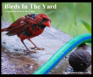 Birds In The Yard book cover