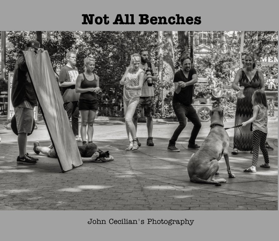 View Not All Benches by John Cecilian