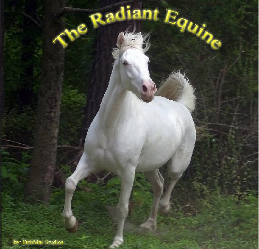 View The Radiant Equine by Deborah Johnson