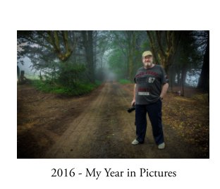 2016 - My Year in Pictures book cover