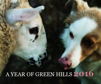 A Year of Green Hills 2016 book cover
