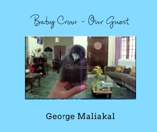 Baby Crow - Our Guest book cover