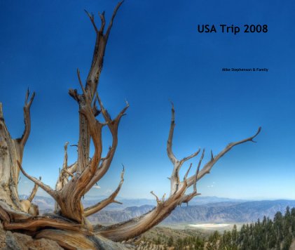 USA Trip 2008 book cover