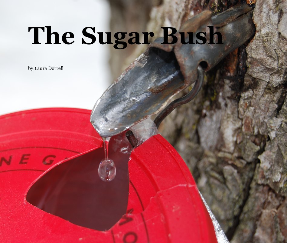 View The Sugar Bush by Laura Dorrell