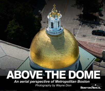 Above the Dome book cover