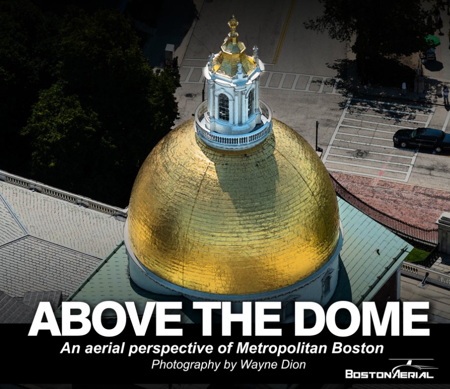 View Above the Dome by Wayne Dion