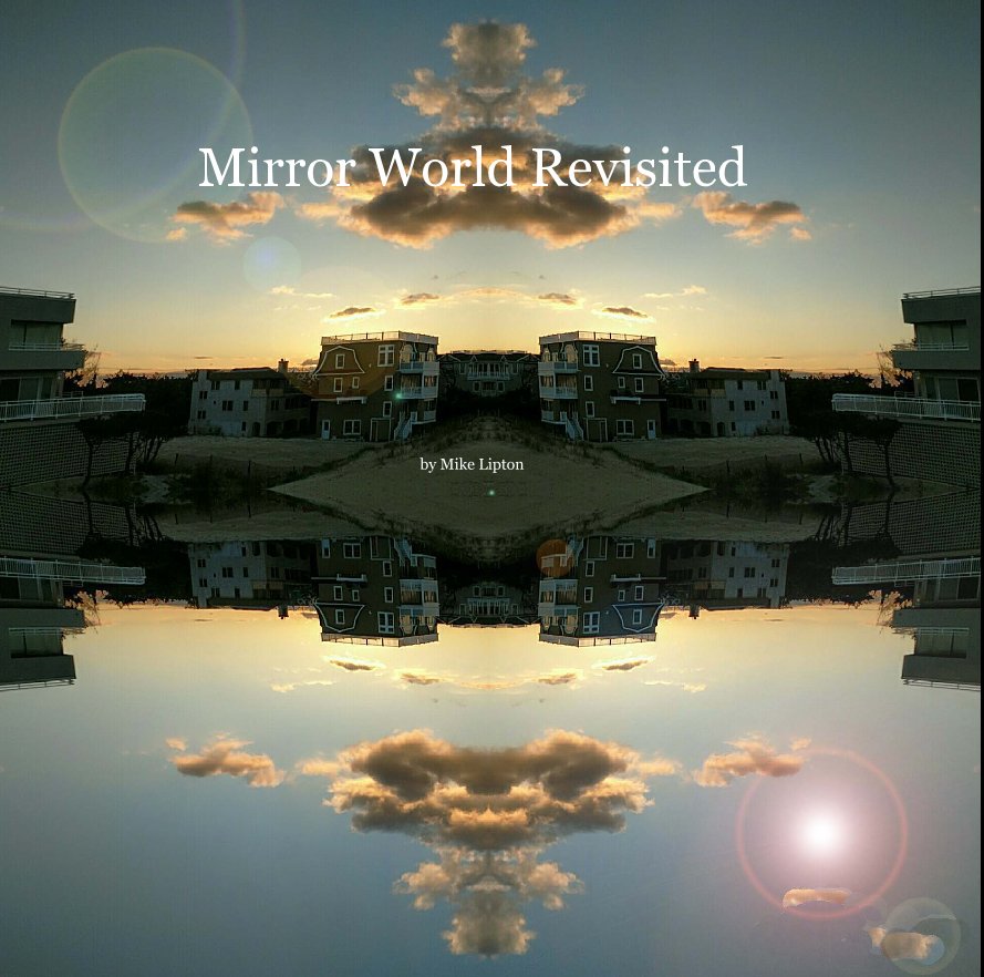 View Mirror World Revisited by Mike Lipton