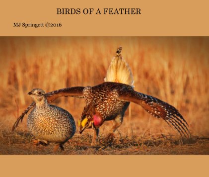 BIRDS OF A FEATHER book cover