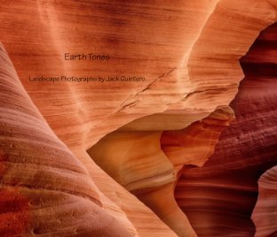 Earth Tones book cover