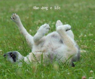 the dog e life book cover