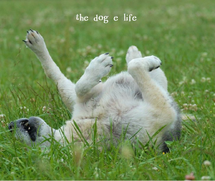 View the dog e life by georgiabrown