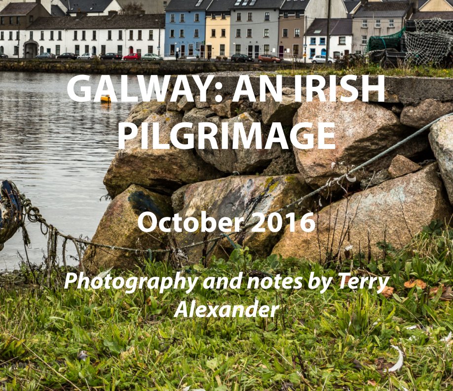 Ver Galway: An Irish Pilgrimage por Terrance Alexander