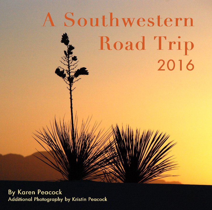View A Southwestern Road Trip 2016 by Karen Peacock