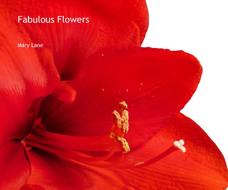 View Fabulous Flowers by Mary Lane