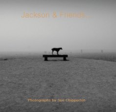 Jackson & Friends... book cover