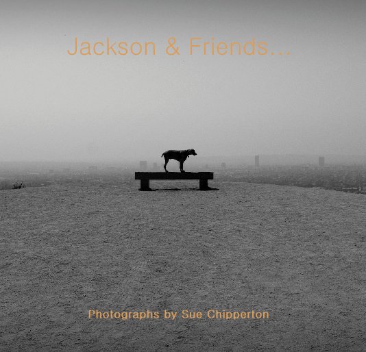 Ver Jackson & Friends... por Photographs by Sue Chipperton