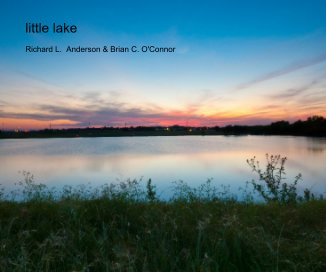 little lake book cover