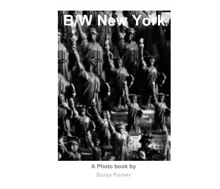 B/W New York book cover