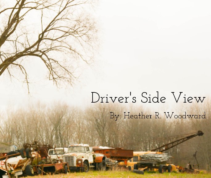 Ver Driver's Side View por Heather R. Woodward