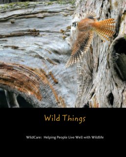 Wild Things book cover