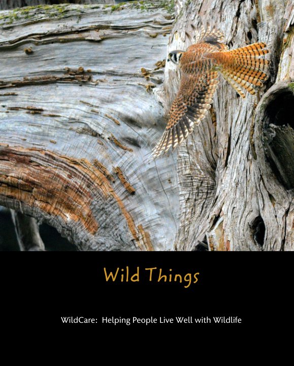 View Wild Things by WildCare:  Helping People Live Well with Wildlife