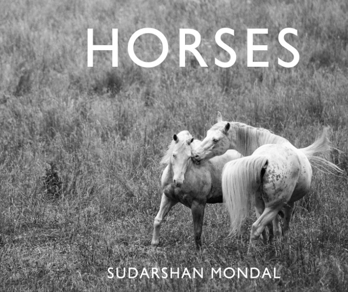 View Horses by Sudarshan Mondal