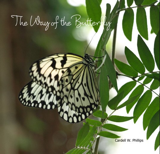 Visualizza The Way of the Butterfly di Cardell W. Phillips