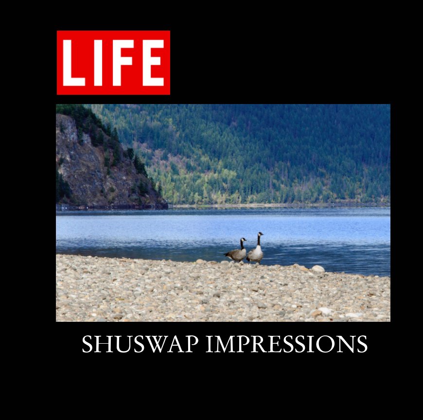 View Shuswap Impressions by Keith Armstrong