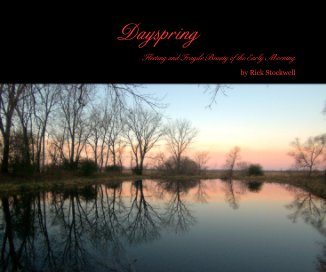 Dayspring book cover