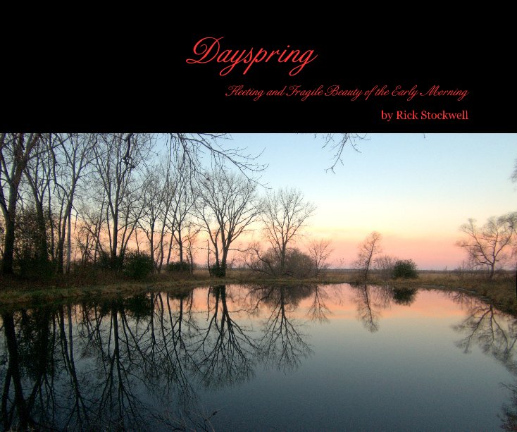 View Dayspring by Rick Stockwell