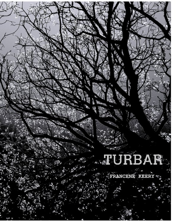 View TURBAR by Francene Keery