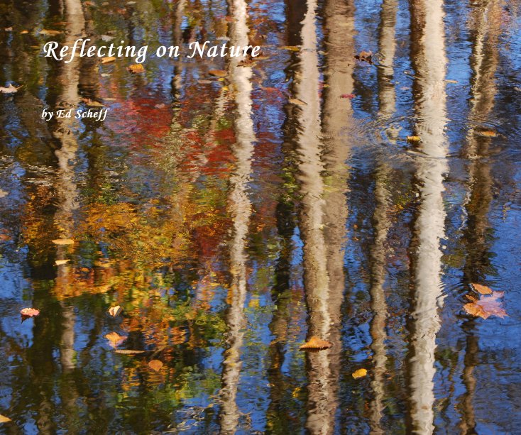 View Reflecting on Nature by Ed Scheff