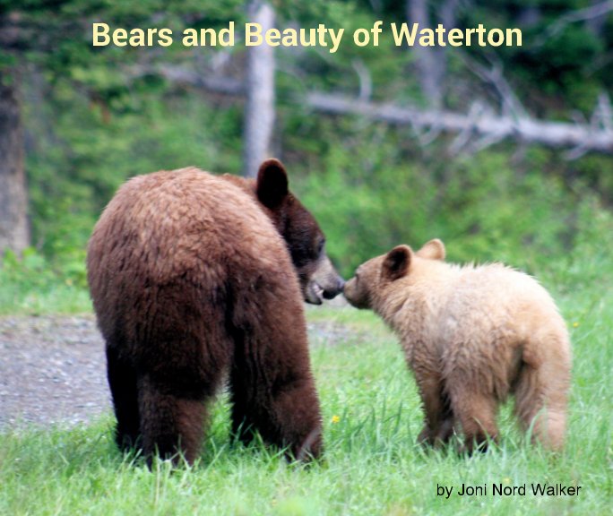 Ver Bears and Beauty of Waterton por Joni Nord Walker