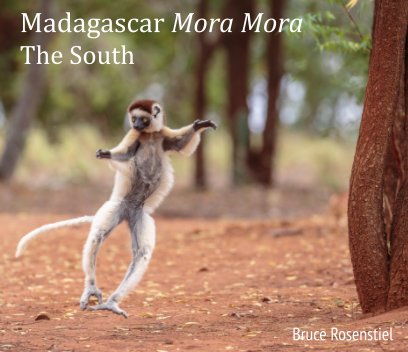 Madagascar Mora Mora book cover