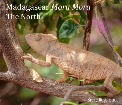 Madagascar Mora Mora book cover