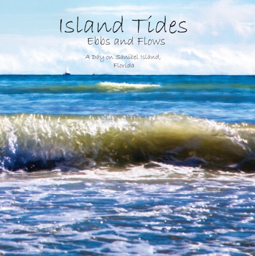 Ver Island Tides, Ebbs and Flows 7 by 7 por Debra Louise Ott