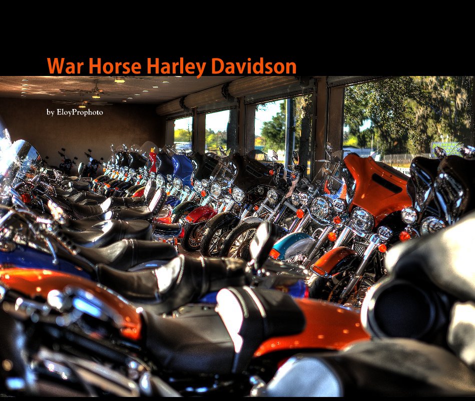 View War Horse Harley Davidson by EloyProphoto
