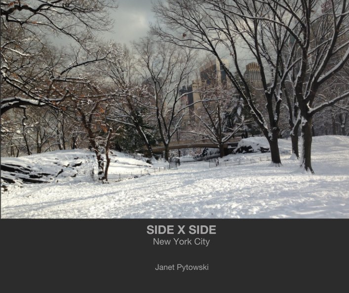 View Side x Side by Janet Pytowski
